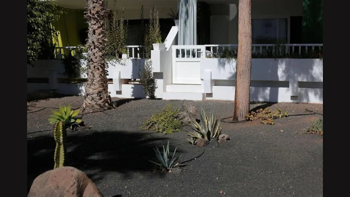 Daruma Apartments Costa Teguise
